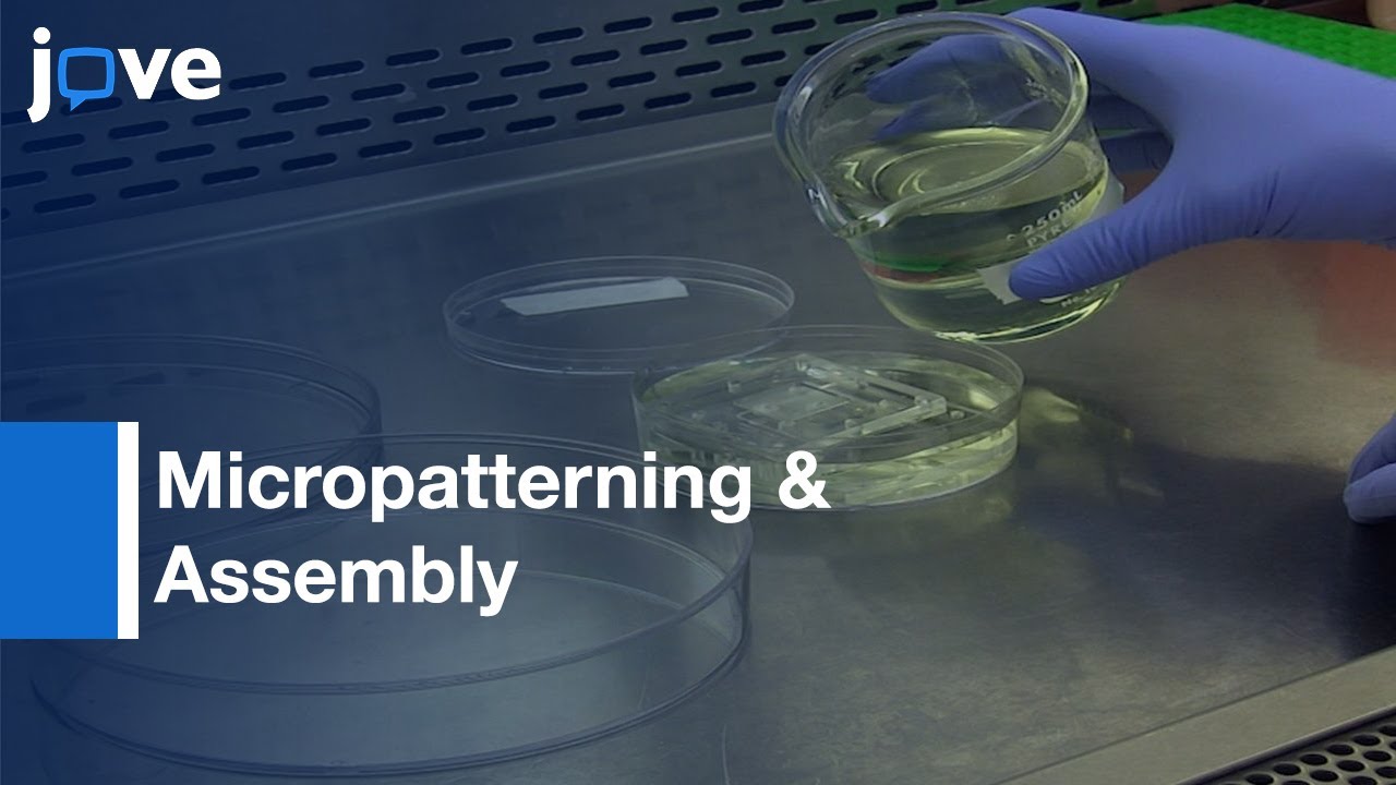 Micropatterning & Assembly Of 3D Microvessels l Protocol Preview