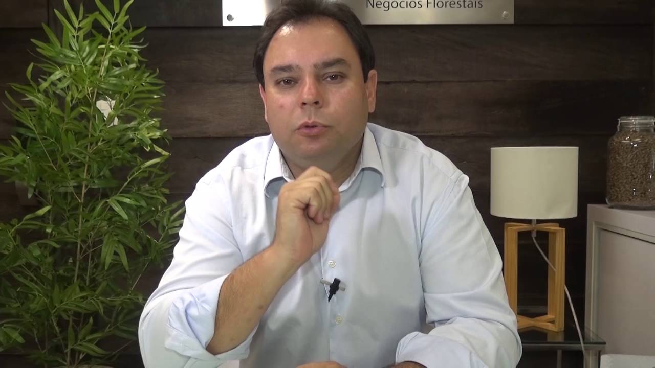Como combater pragas e doenças do eucalipto - Florestas Online