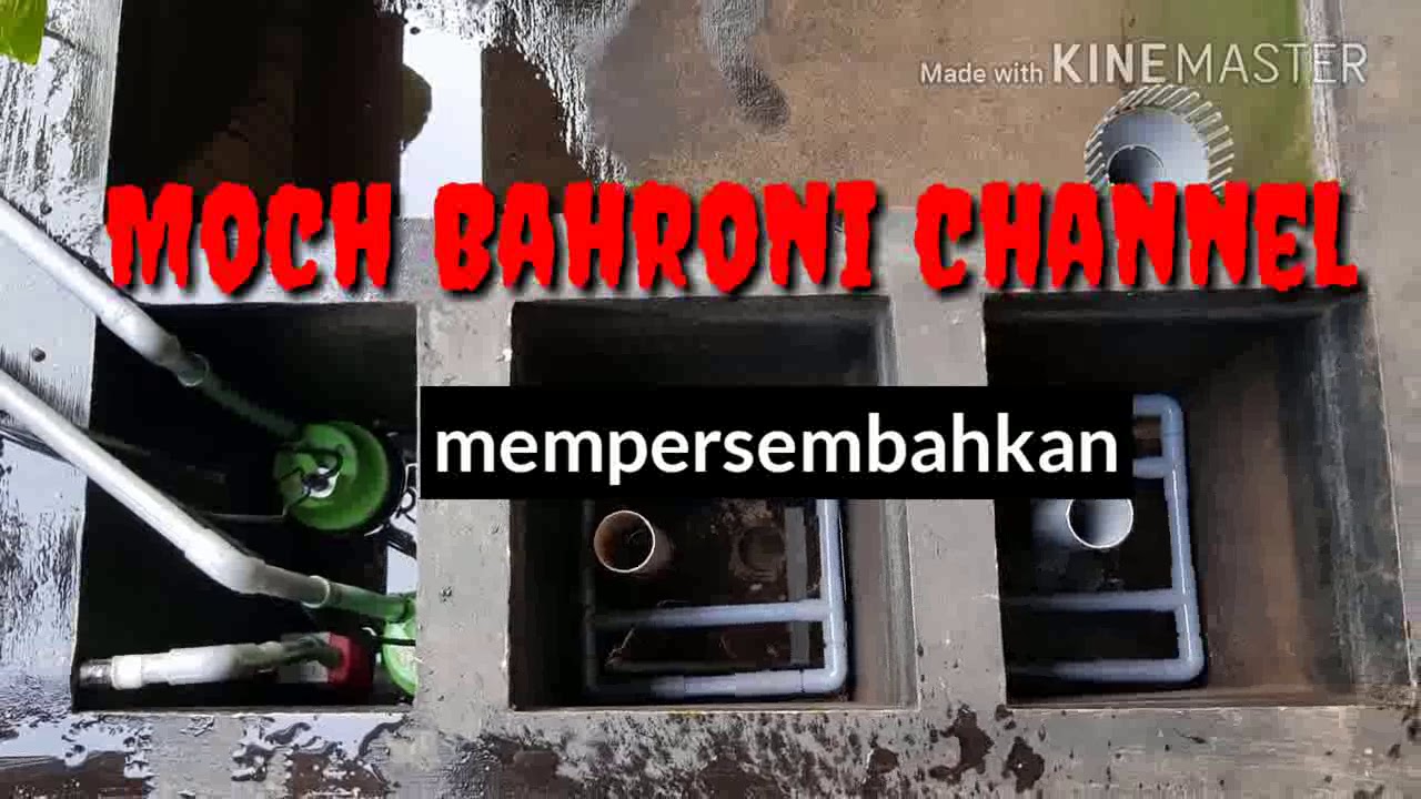Cara membuat filter kolam ikan koi