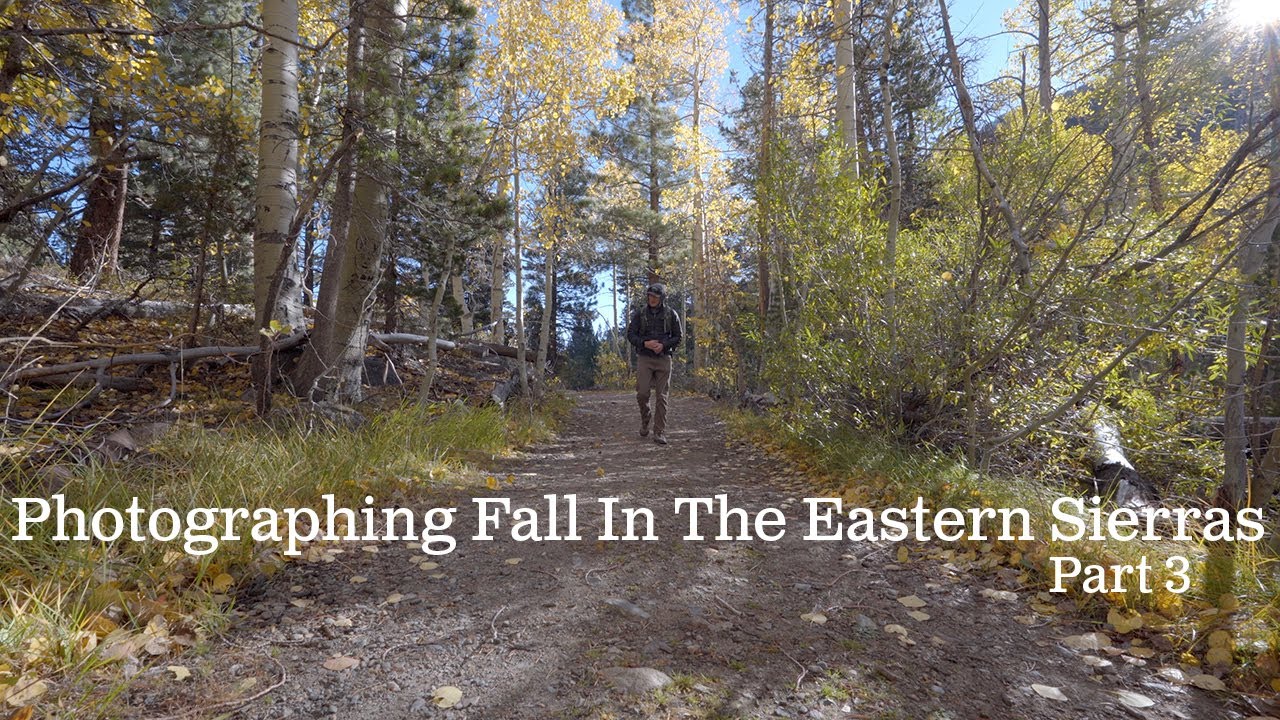 Photographing Fall In The Eastern Sierras Part 3 | California Fall Photography 4k