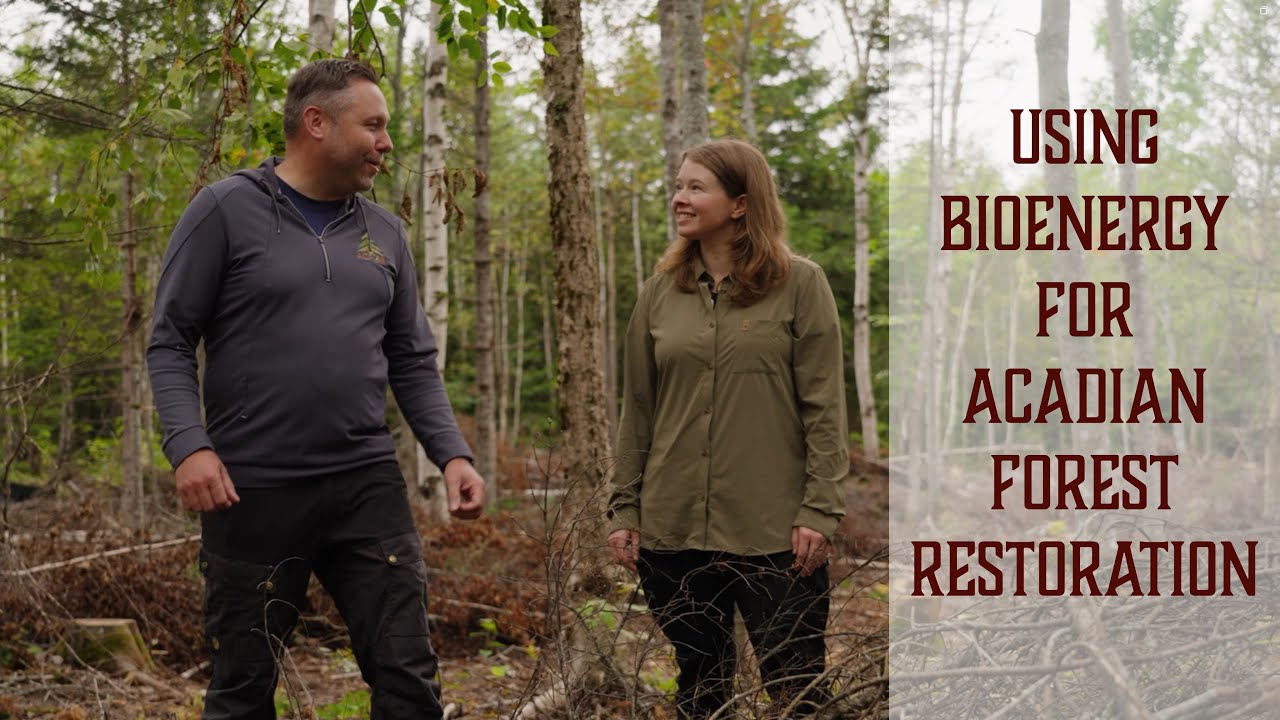 Bioenergy for Acadian Forest Restoration