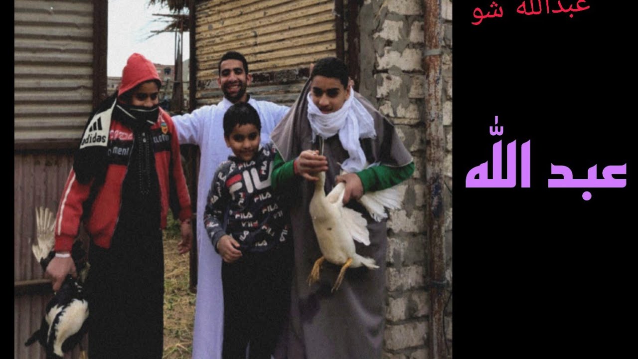 حراميه البط/شاهد ماذا فعل الحاج عبدالله فى الحرامية/عبدالله شو
