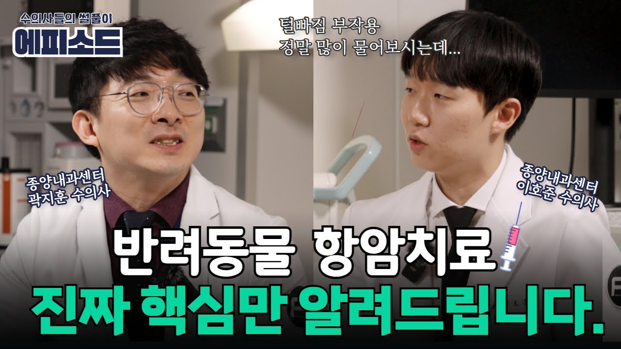 [FM수의사들의썰풀이] 종양내과센터 수의사들이 이야기하는 '반려동물 항암치료 부작용' 제대로 알아야 합니다!!!