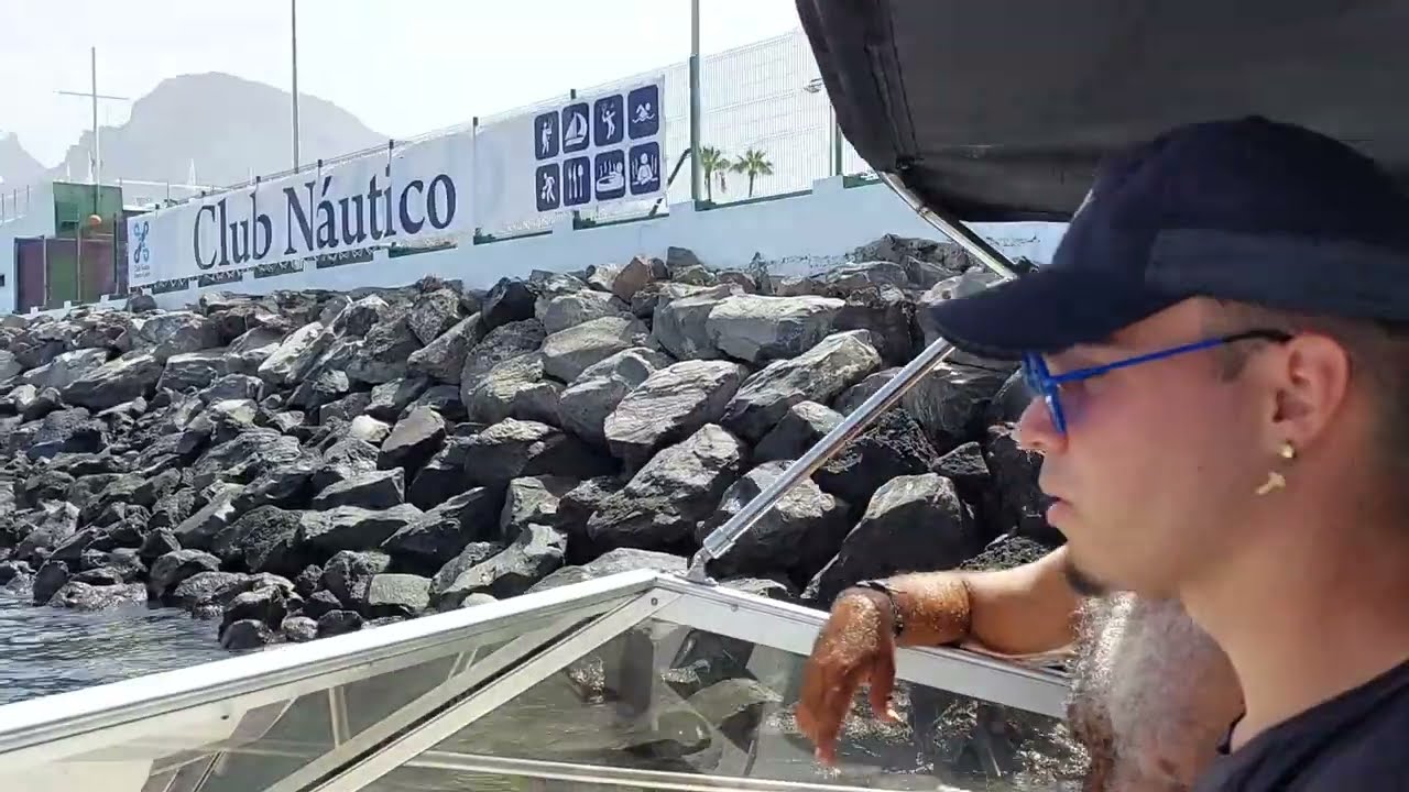 Tenerife, Private Boat Charter, Dolphins @ 4 mins.