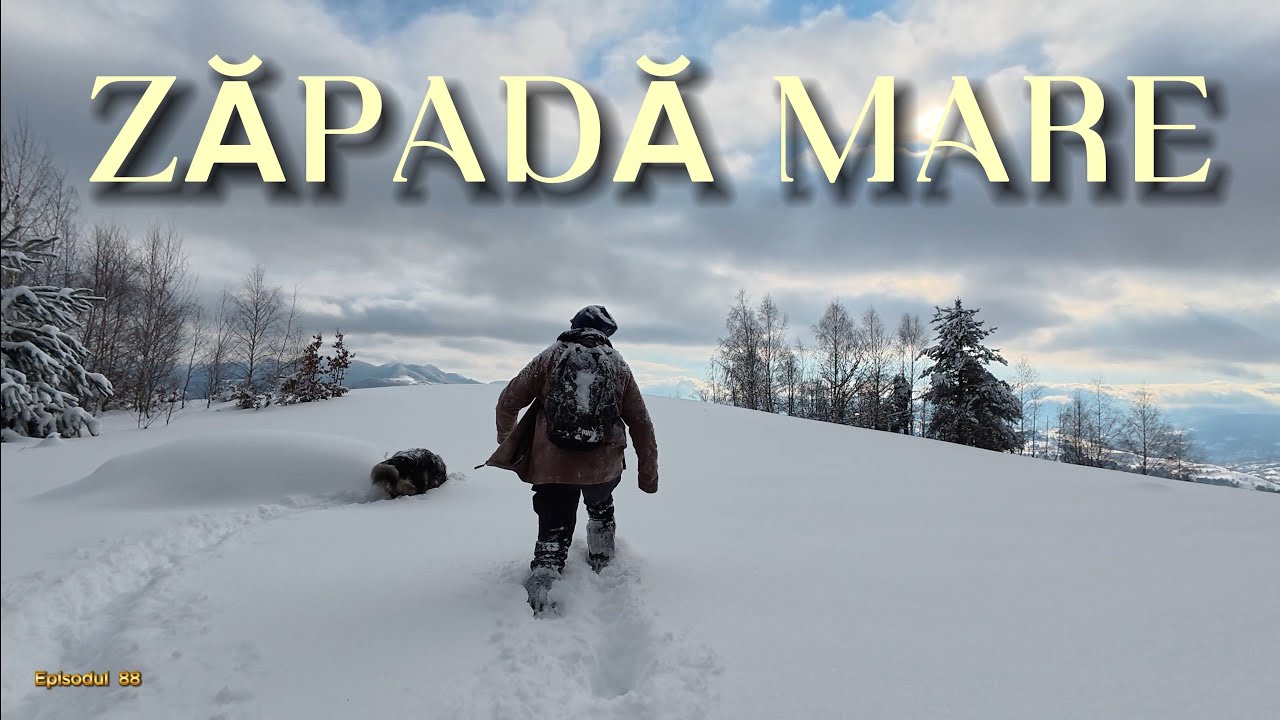 AVENTURĂ EXTREMĂ PRIN ZĂPADĂ MARE ❄️ LOCURILE UNDE OAMENII TRĂIAU IZOLAȚI ÎN APUSENI | EP.88