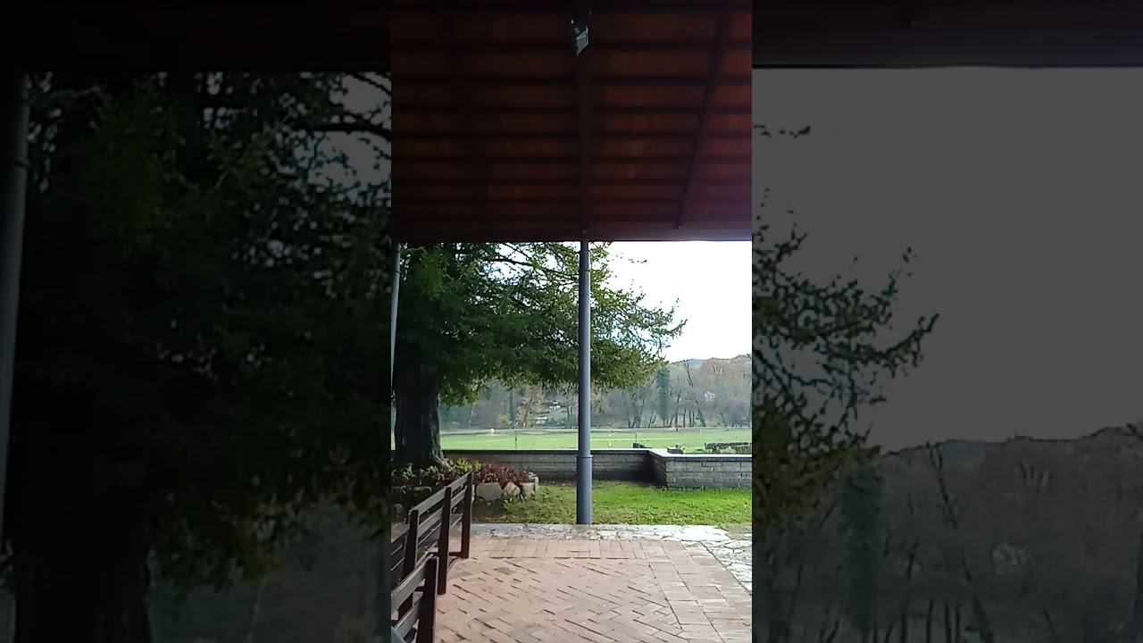 Mocina dame un besín
