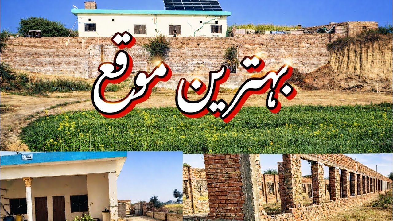 Agricultural land for sale in chakwal