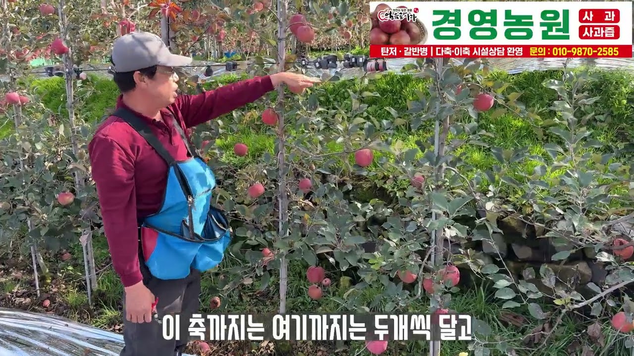 다축과 스핀돌중 선택 시 고려해야 할 특성 및 2026년 경영농원 현장교육 교육생 모집