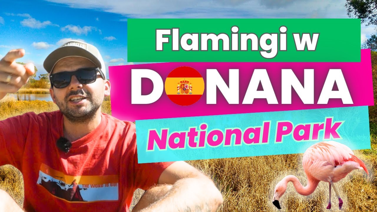 ROZWALIŁEM DRONA....!  Park Narodowy Donana kamperem E14 #vanlife
