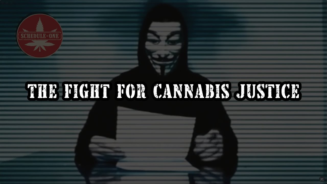The Fight For Cannabis Justice