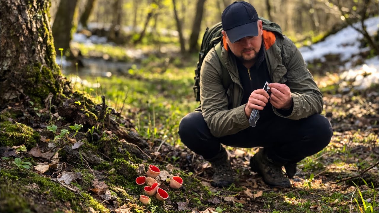 Я НЕ ОЧІКУВАВ ЦЬОГО В ЛІСІ! Краще б я залишився вдома..гриби Які мають в Середині ЦЕ ?
