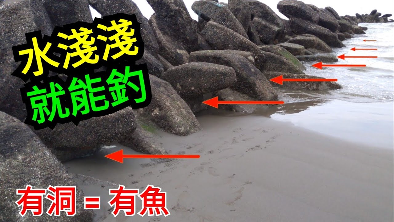 水淺淺 就能釣 有洞=有魚