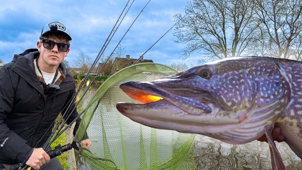 VIS MISSIE: VANG EEN DIKKE WINTER SNOEK!🎣