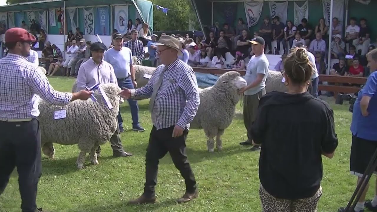 JURAS DE CLASIFICACIÓN 87° EXPOSICIÓN RURAL. - TURNO TARDE 2