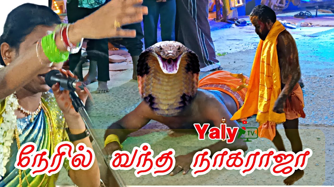பத்திரகாளியா காளியம்மனா 🙄 இல்ல நாகராஜா 🏃‍♂️புவனா ஆட்டபந்தியில் அதிசயம்