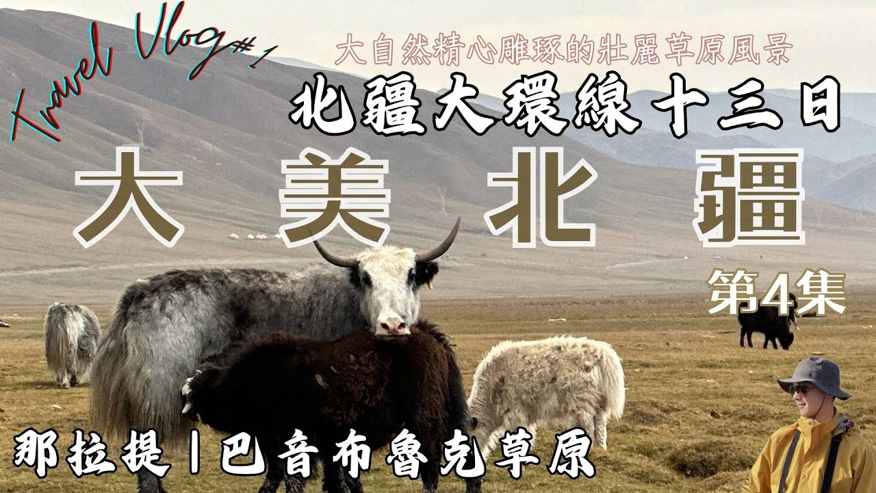 【旅行Vlog】大美北疆大環線13日(第4集)～最美的高山草場那拉提/巴音布魯克/九曲十八彎 #travel #氂牛 #空中草原 #公路旅行 #騎馬體驗 #新疆美食 #xinjiang #可可托海