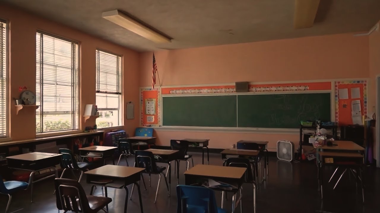 Pandemic Learning Loss - Director Summary