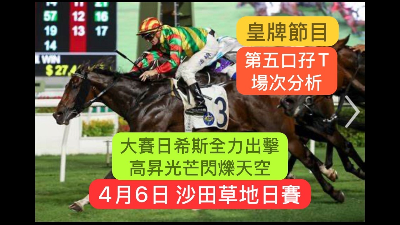 4月6日 沙田草地日賽  皇牌節目 第五口孖T 場次分析 大賽日希斯全力出擊 高昇光芒閃爍天空｜沙田草地日賽