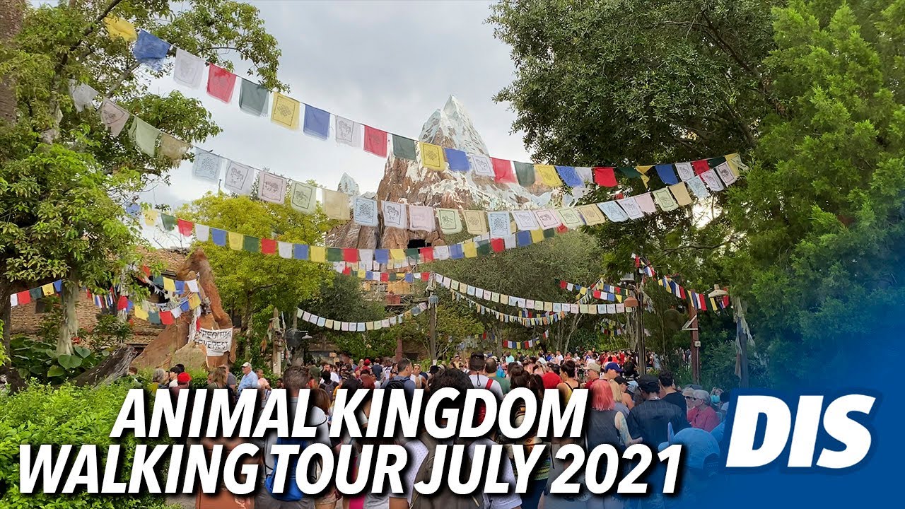 Full Walking Tour of Disney's Animal Kingdom in July 2021
