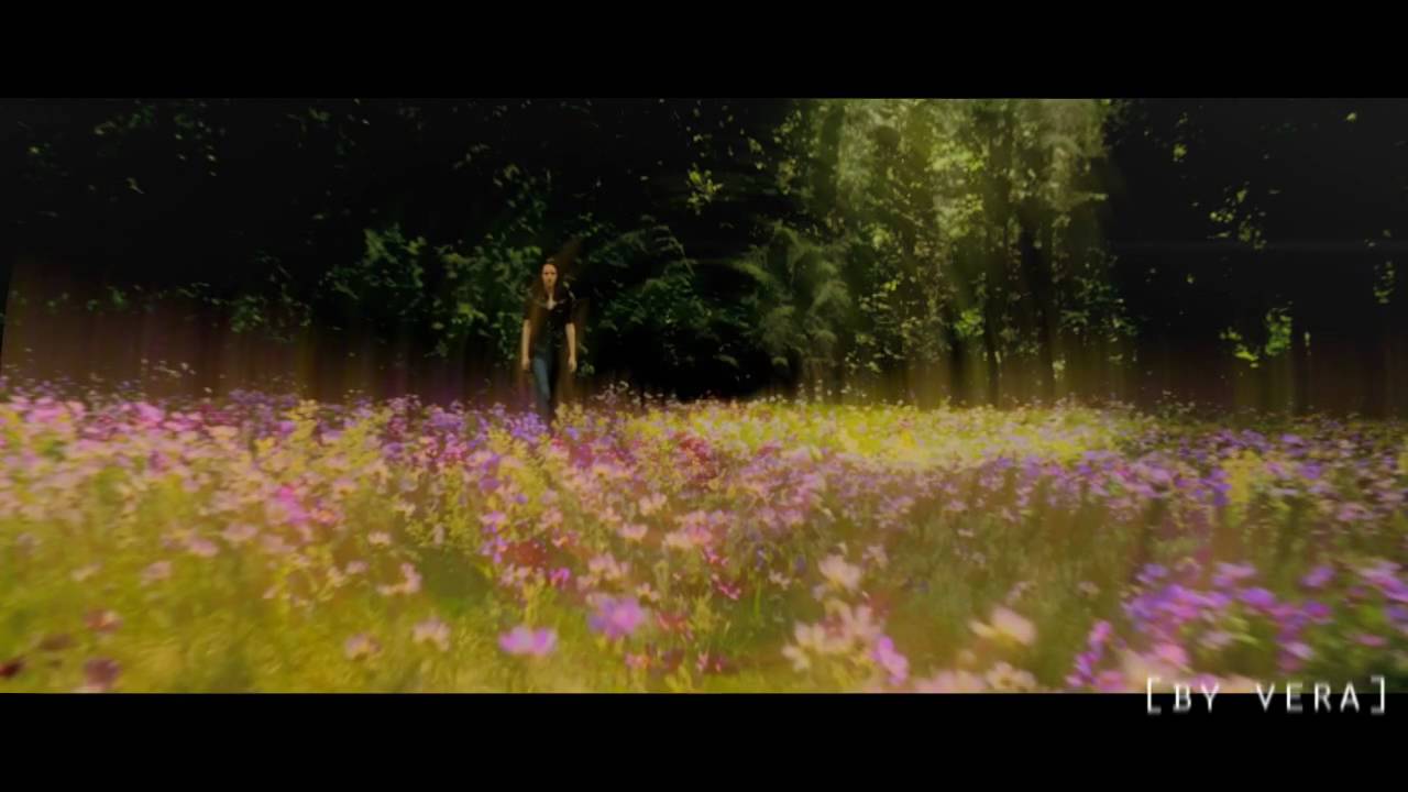 What I've Done || New moon