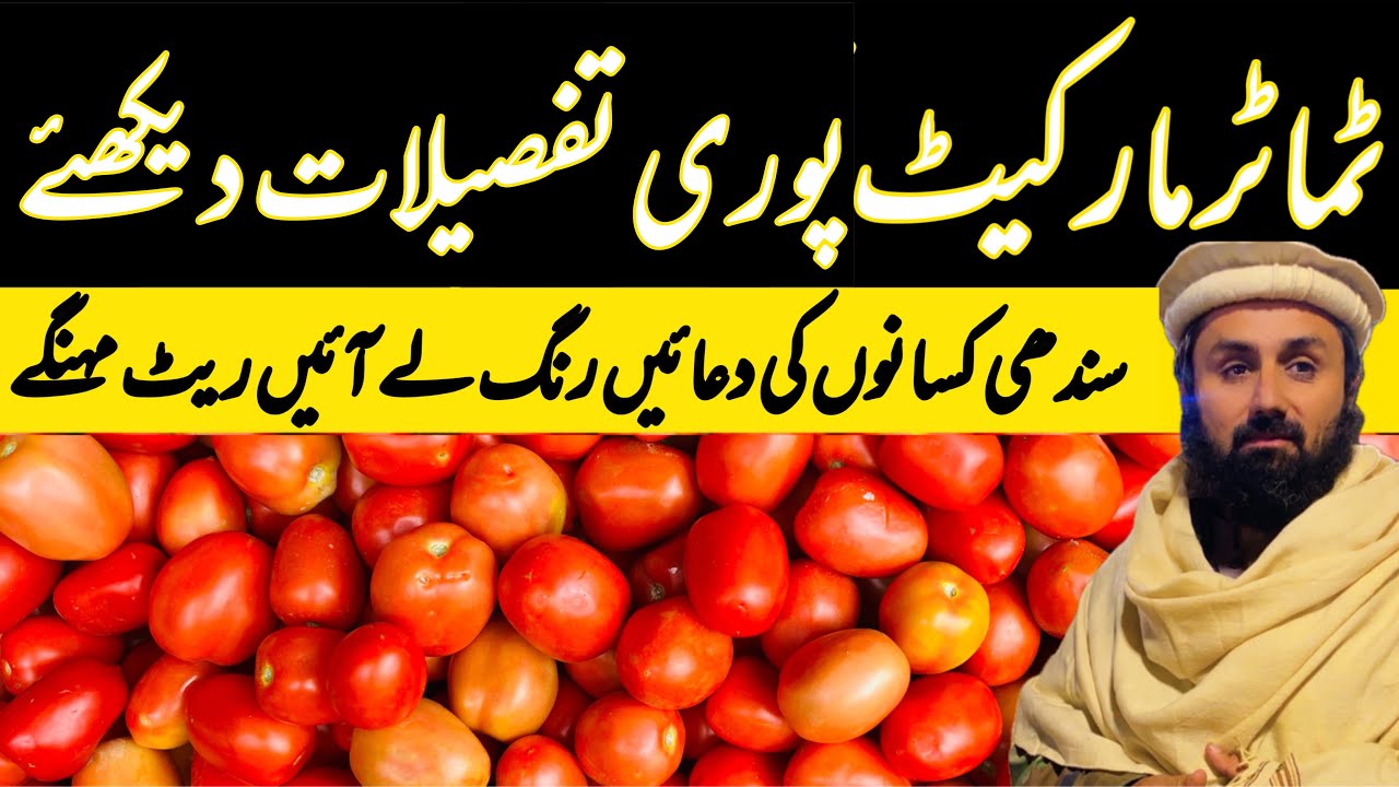 Tomatoes Market Islamabad Update | Sabzi Mandi Islamabad | Expensive Prices in Ramadan Mubarak 