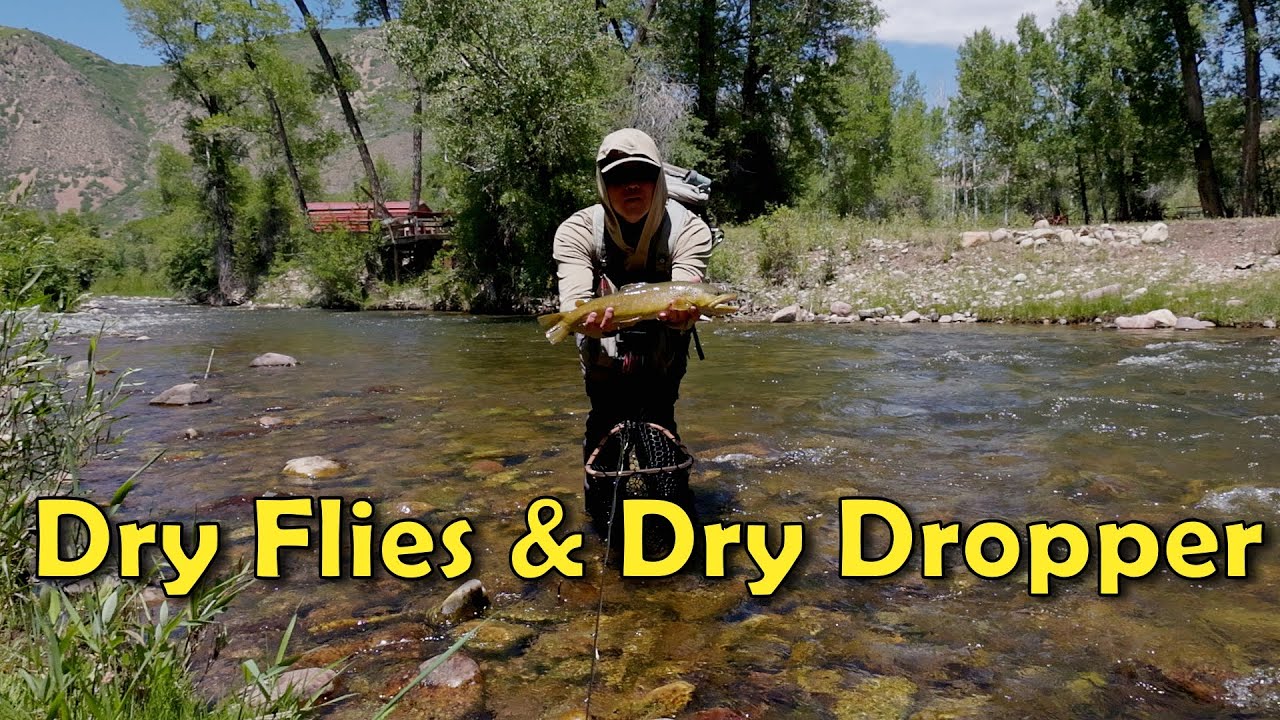 Fishing Dry Flies and Dry-Dropper for Brown Trout