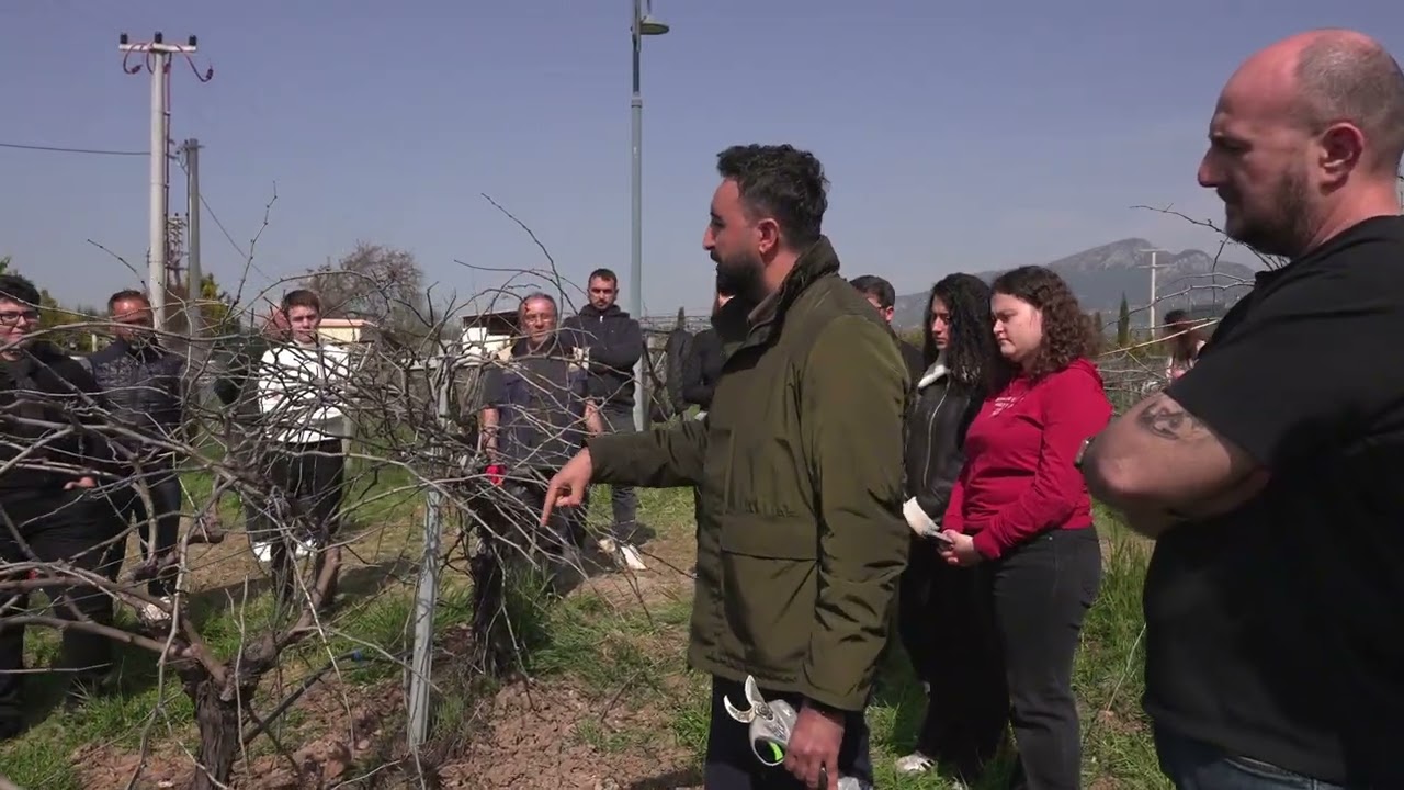Buca Belediyesi’nin üzüm bağı açık hava okuluna dönüştü