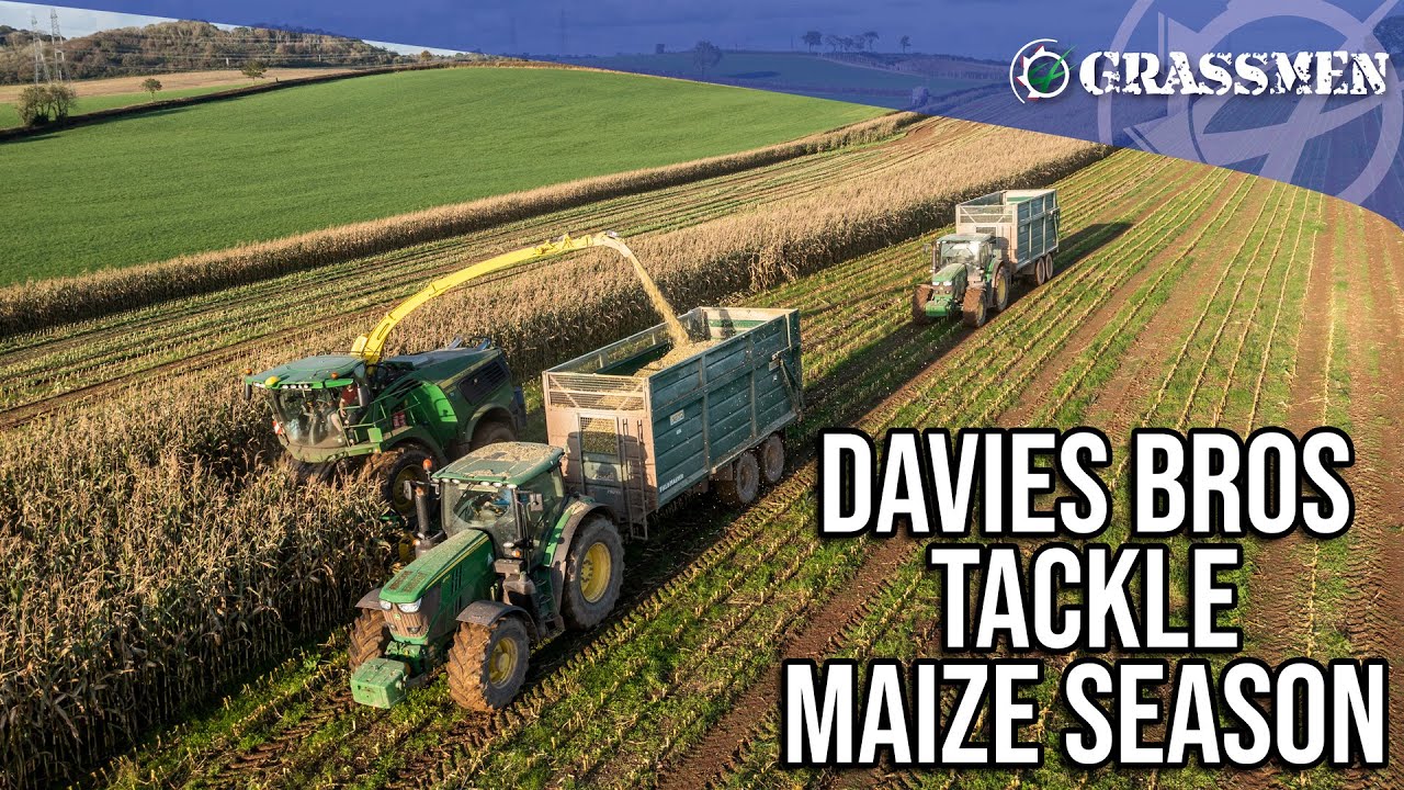 Davies Bros tackle maize season!