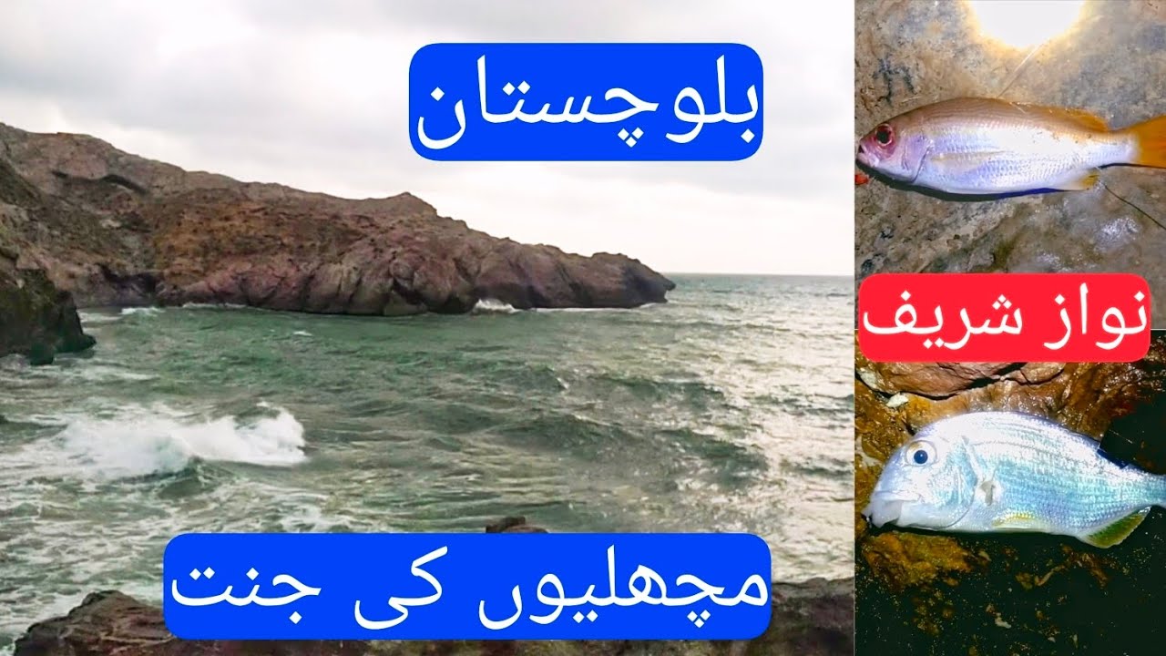 gadani beach karachi fishing ! gadani beach balochistan ! gadani ma machli ka behtareen shikar