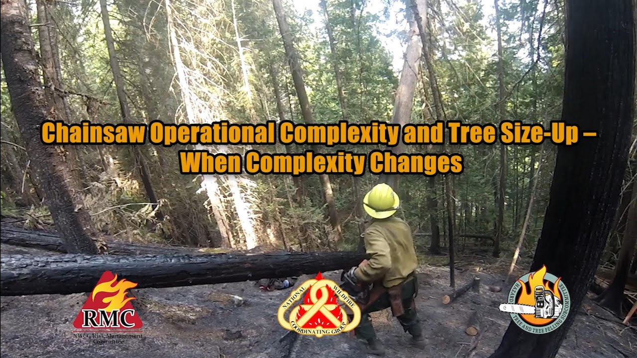 Сложность эксплуатации бензопилы и оценка размера дерева — когда сложность меняется