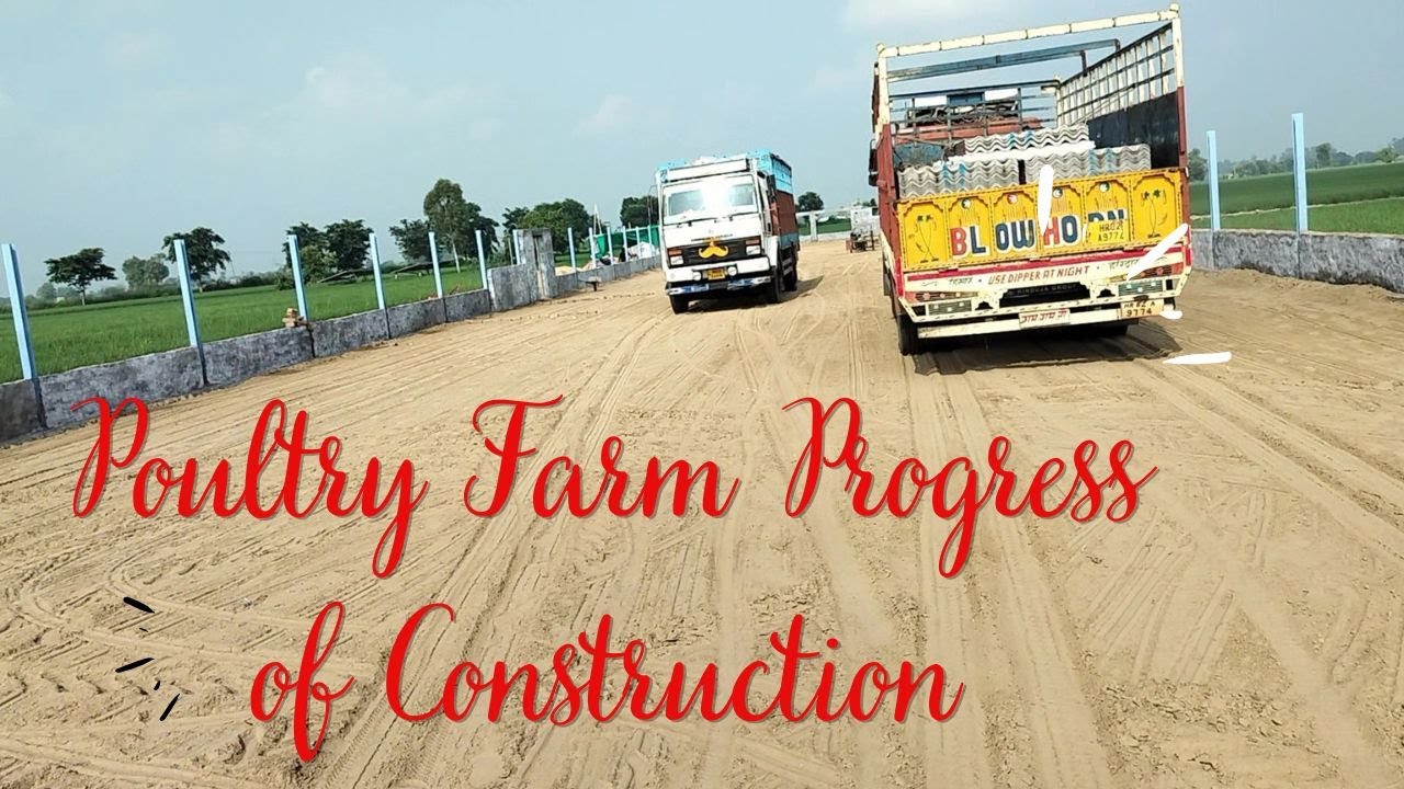 Poultry Farm Progress of Construction