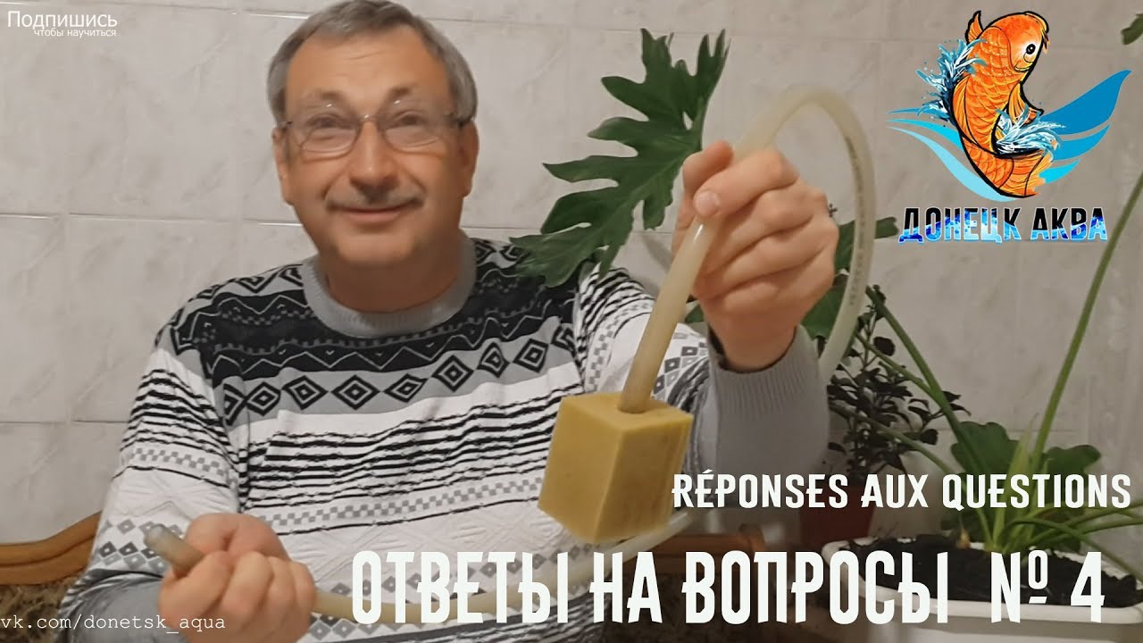 донецк аква, ответы на вопросы № 4, все о аквариумных рыбках, советы, как содержать, когда нерестить