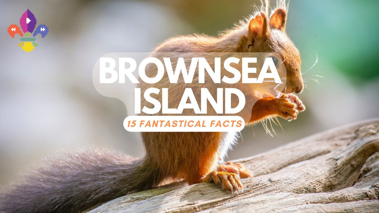 BROWNSEA ISLAND - Fifteen Fantastical Facts | SCOUTADELIC