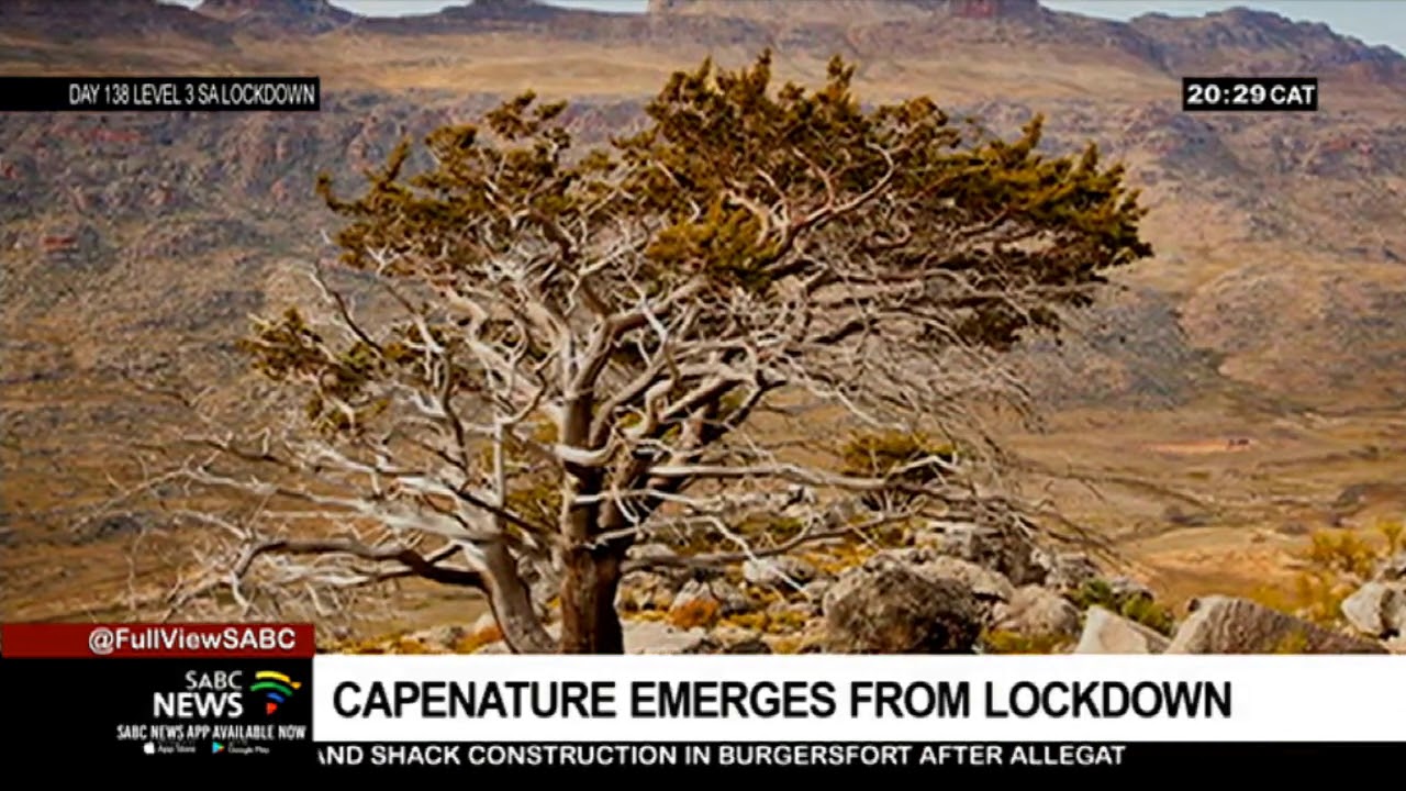 CapeNature emerges from COVID-19 lockdown