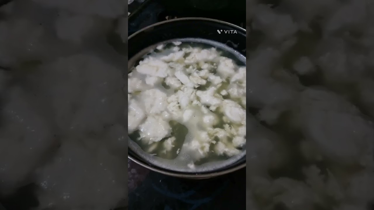 cow's milk after 4 days  of giving birth  | milk sweet | 