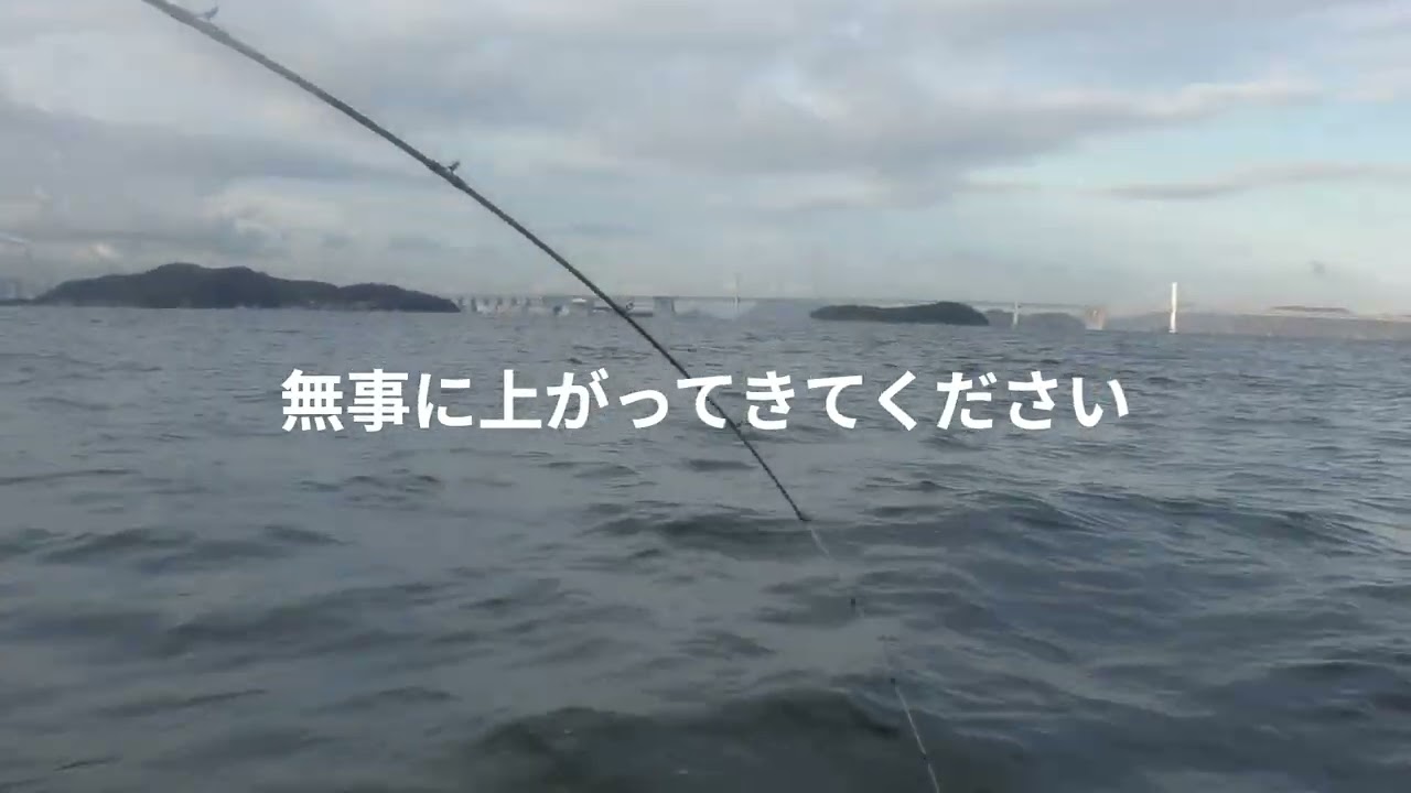 2026年1月31日修行