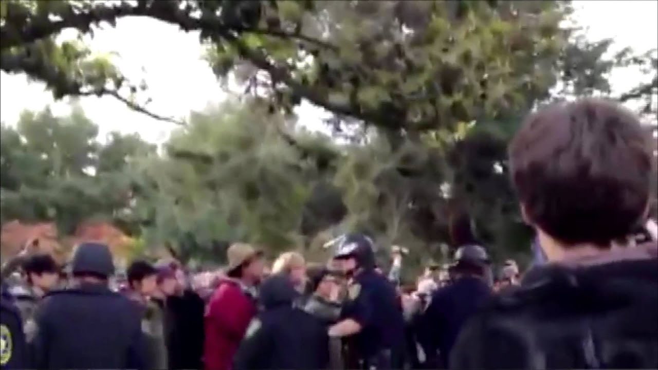 UC Davis Officials Under Fire Amid Outrage Over \'Occupy\' Pepper Spraying