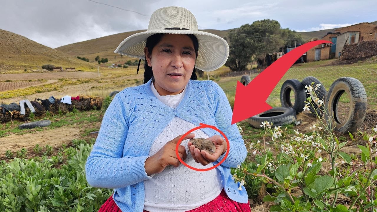 El Kurukutu