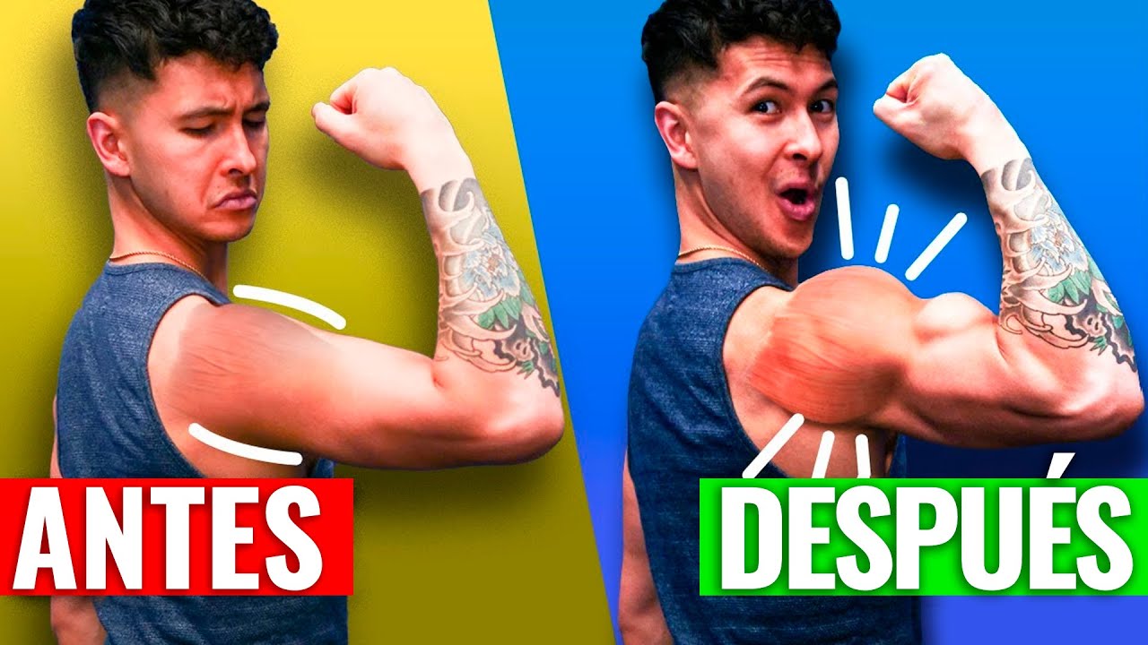 Los 15 MEJORES ejercicios para crecimiento de HOMBROS (y cómo usarlos)