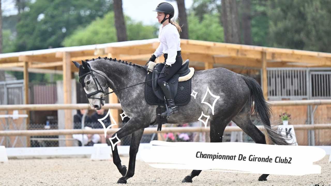Championnat de Gironde - Dressage Club 2 GP + Libre