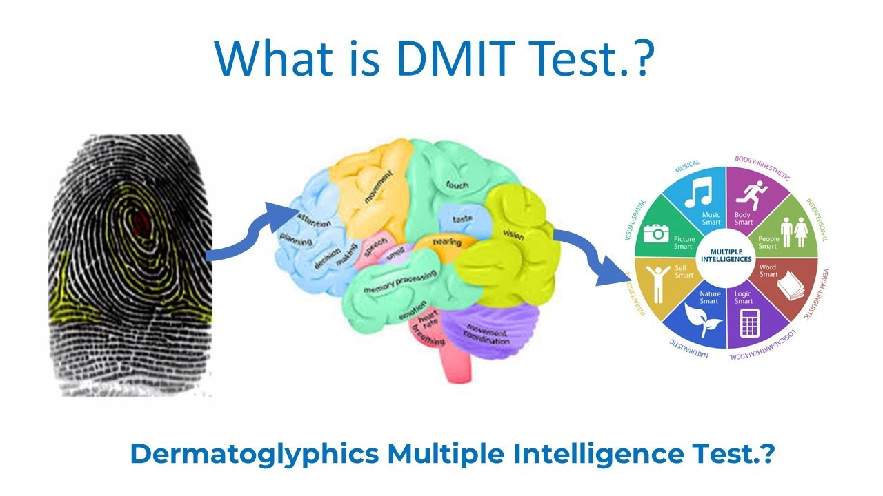 What is DMIT Test, DMIT Fingerprint Test, Dermatoglyphics Multiple Intelligence, DMIT Lab India