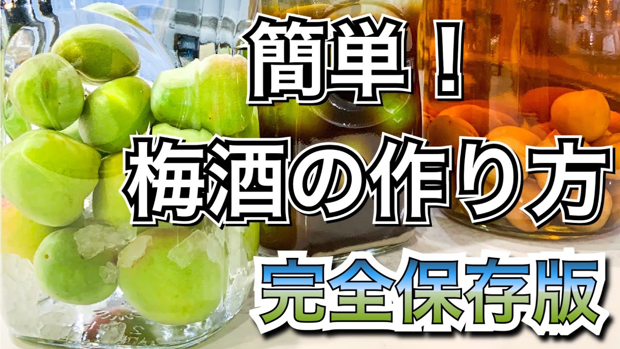 【梅酒の作り方】基本レシピと失敗しないコツ！梅酒のＱ&A 甘さ控えめ2種を紹介！