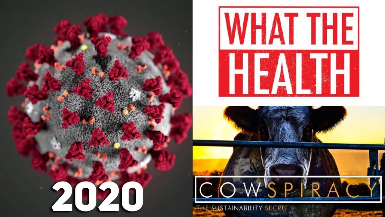 New Documentary Exposes How Did Coronaviruses Start China Market - Keegan Kuhn
