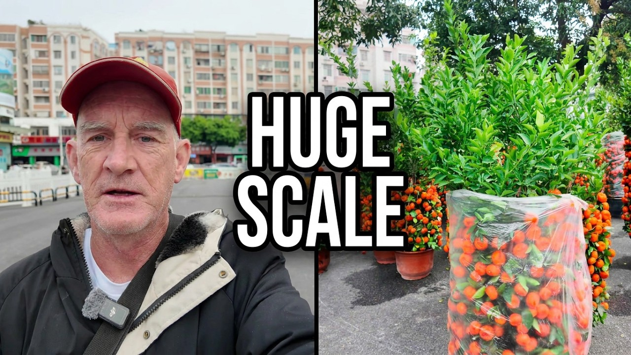 A Life In China: Spring Festival Flower Market In Zhaoqing