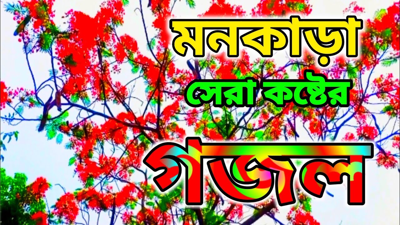 দুনিয়ার সেরা খুবই দুঃখের ৪টি গজল | Ramadan Gozol | কষ্টের গজল | New Gojol | Gojol 2026 