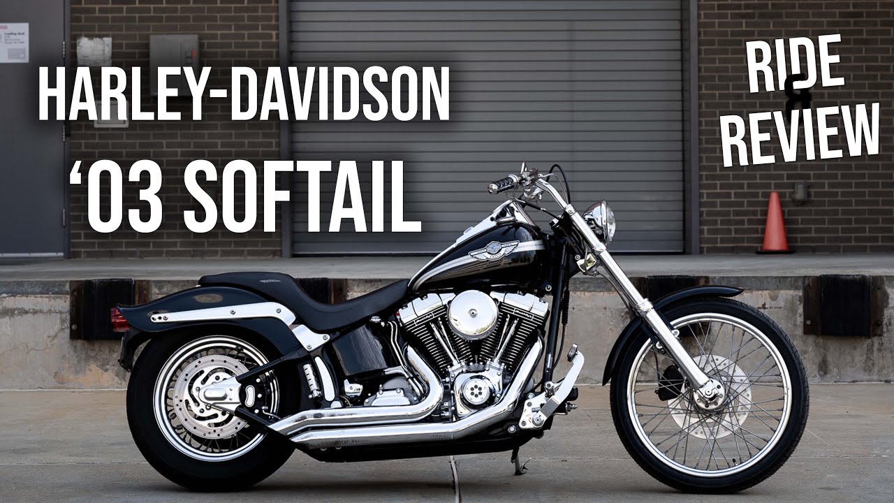 Classic American Cruiser | THE 2003 Harley-Davidson Softail Standard