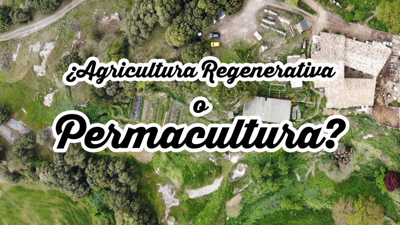 Agricultura Regenerativa y Permacultura - Diferencias y similitudes