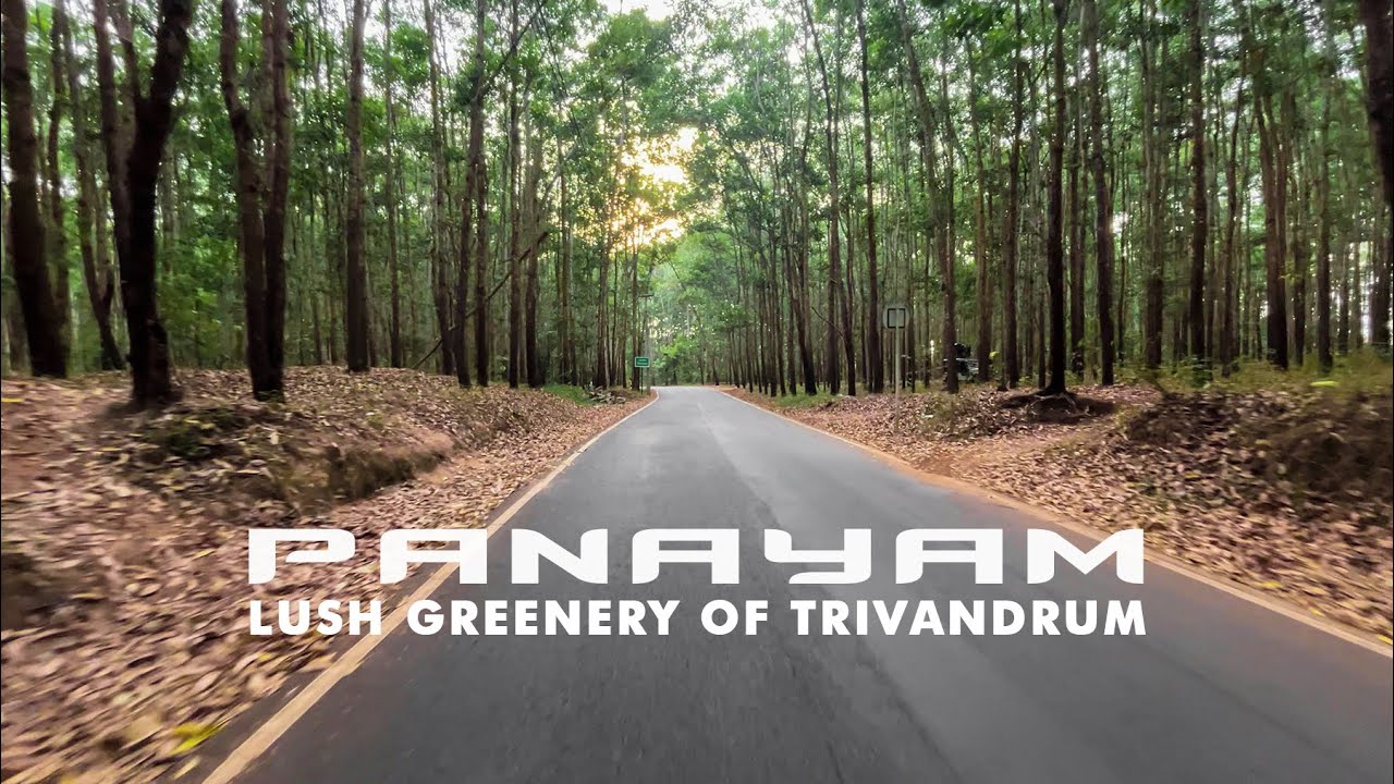 Chellanchy Lush Green Hidden Place in Trivandrum