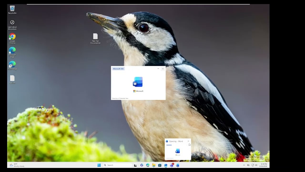 33-Endpoint Purview deny uploads to AI chatbots personal gmail and google drive