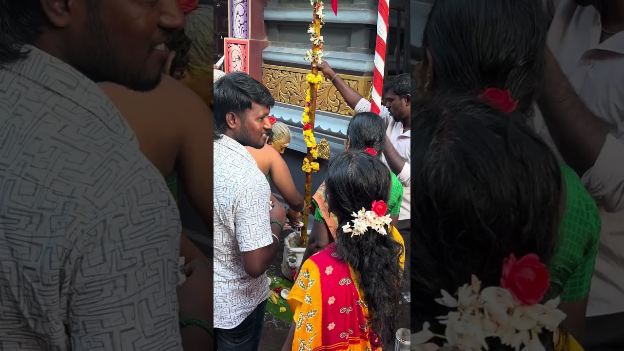 தைப்பூசம் சாதாரண நாள் இல்லை 🔱 #Thaipusam#Murugan#VelVelMuruga#MuruganBhakthi#TamilDevotional
